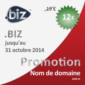 Promotion nom de domaine .BIZ