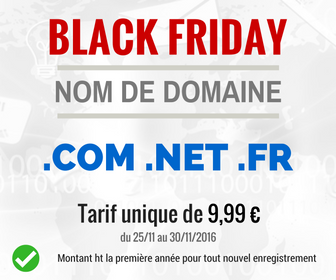 Black Friday domaines