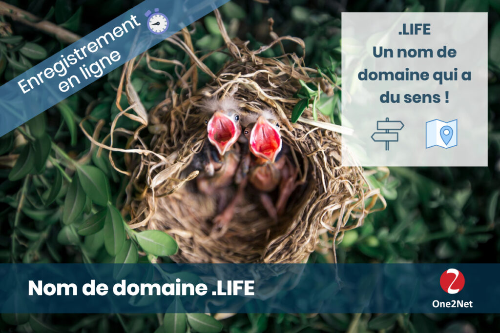 Nom de domaine Life