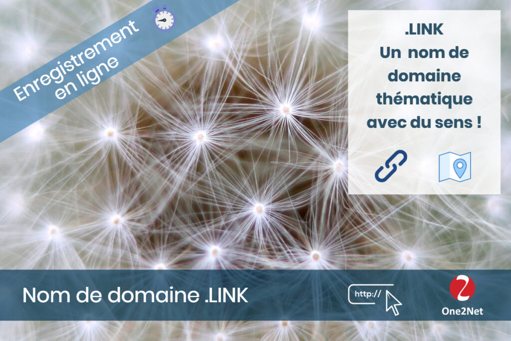 Nom de domaine LINK